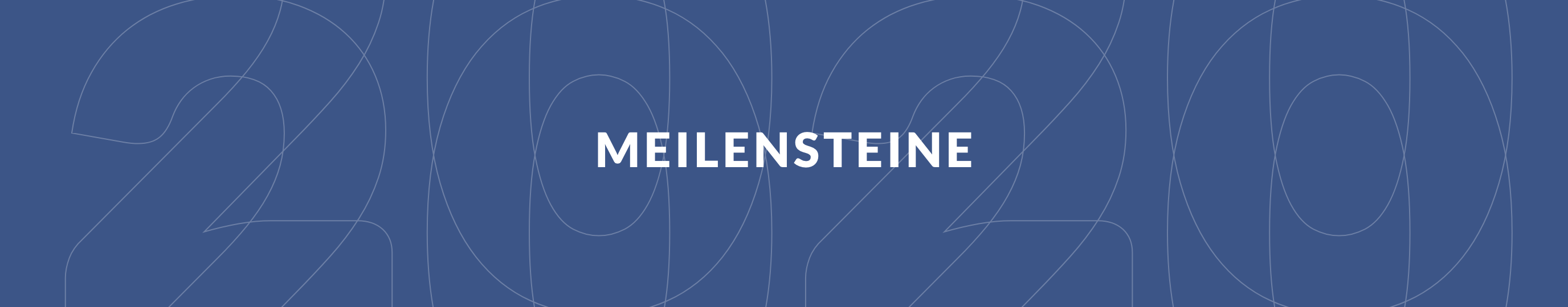 Meilensteine – FMH Geschäftsbericht 2020 